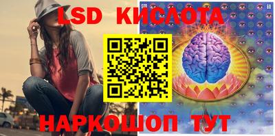 ПСИЛОЦИБИНОВЫЕ ГРИБЫ Можга