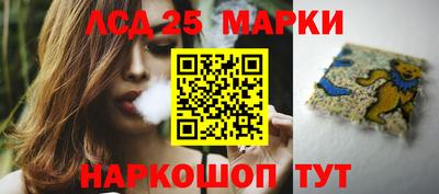 ПСИЛОЦИБИНОВЫЕ ГРИБЫ Можга