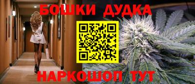 стафф Моздок