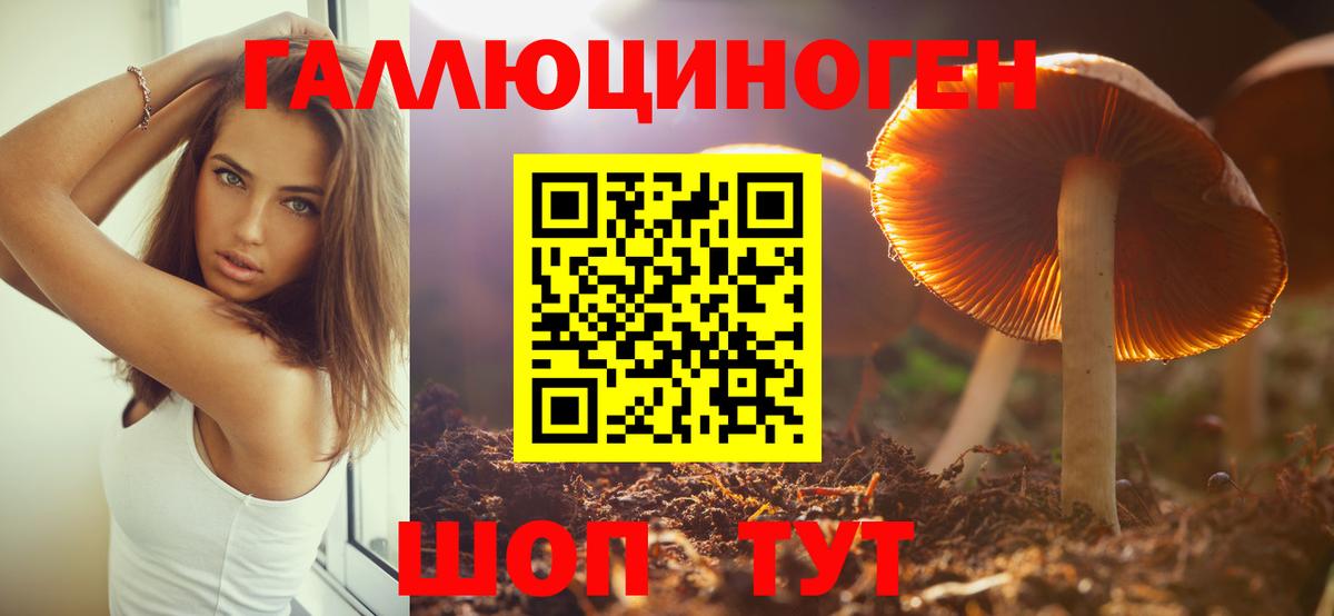Партизанск  Псилоцибиновые грибы мицелий  Вход с VPN 